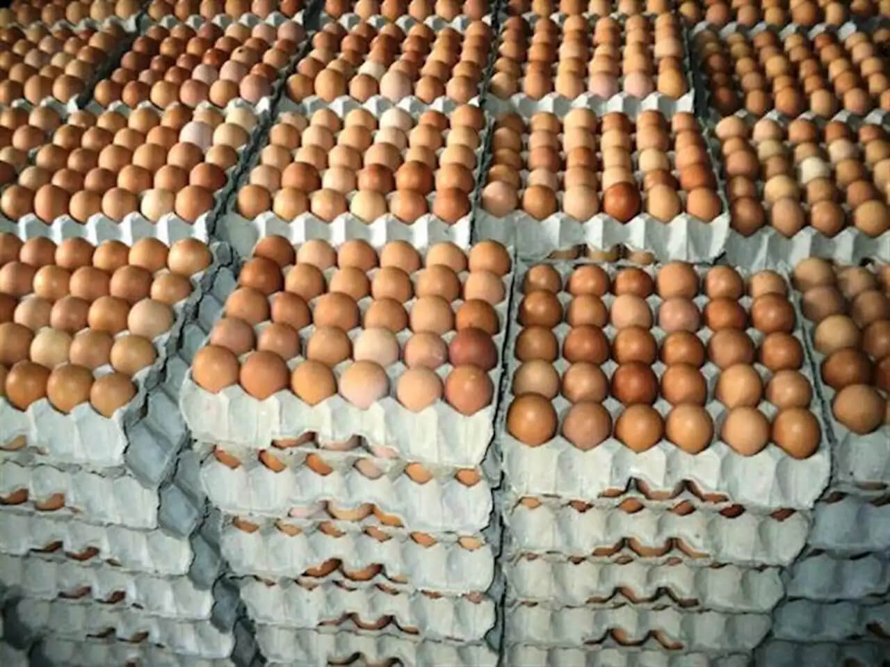 Profitable Eggs Business: https://www.makemoney.ng