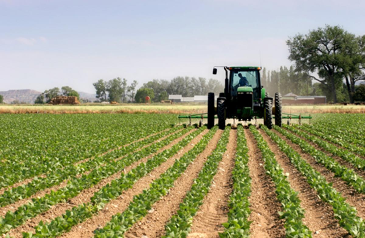 agriculture business plan in nigeria