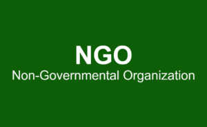 Non-Governmental Organization - NGO
